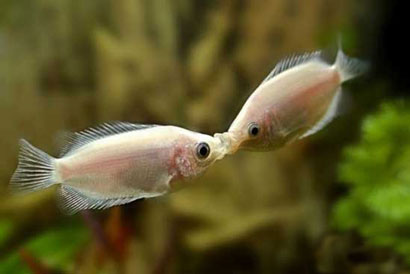 点击进入下一页 点击进入下一页