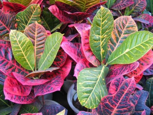 点击进入下一页 点击进入下一页