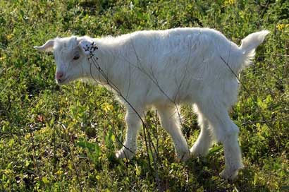 �𾭹��£��ֿ���Ц��ɽ��