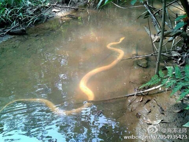 ���η�ʦ���ڷ��������л�ţ�¹�л��