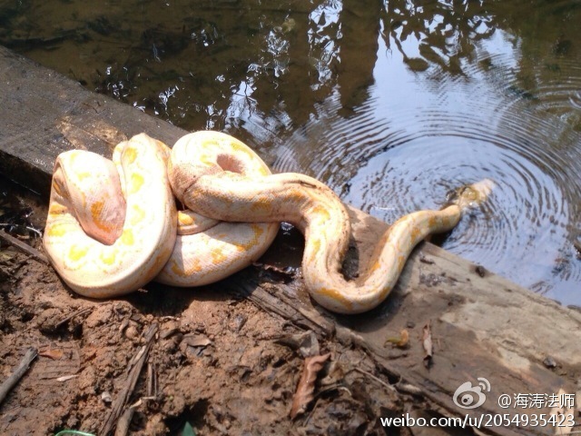 ���η�ʦ���ڷ��������л�ţ�¹�л��