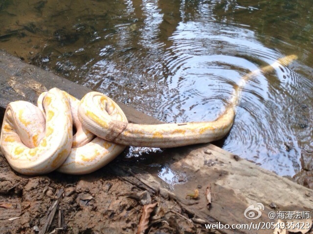 ���η�ʦ���ڷ��������л�ţ�¹�л��