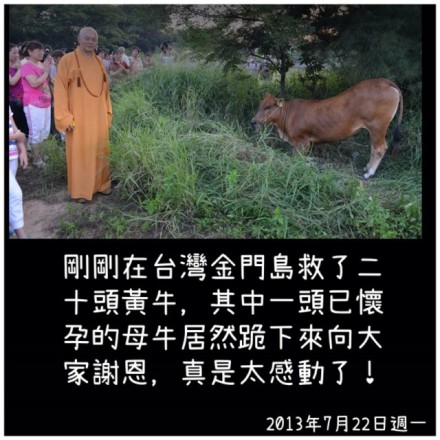 ���η�ʦ���ڷ��������л�ţ�¹�л��