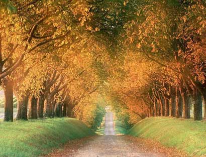 ���Ԣ�ԣ�����澳��ѡ��