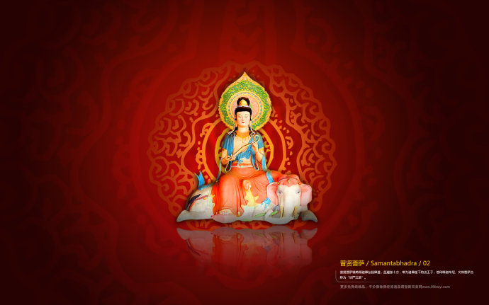 �ִ������Ӧ¼����ʮ����ţ�����ӣ����ﹲ��