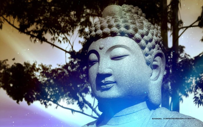 �ִ������Ӧ¼����ʮ�ߣ��߿���Ѫ��������Ѽ