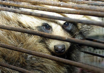 ���������һҳ