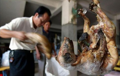 ���������һҳ