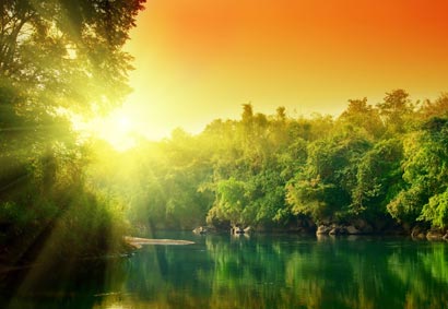 ��¹��£���ǿ��Ϊͽ