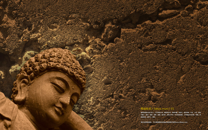 �ִ������Ӧ¼����ʮһ����ţ��У���������