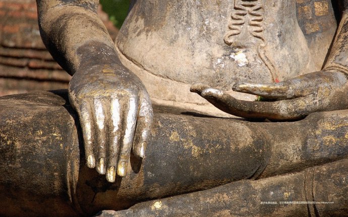 �ִ������Ӧ¼����ʮ��������èĸ,��������