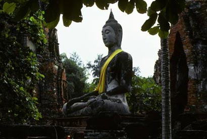 ���ӹ��£���������λ������