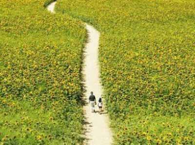 佛教寓言:怀珠求乞 佛教寓言:怀珠求乞