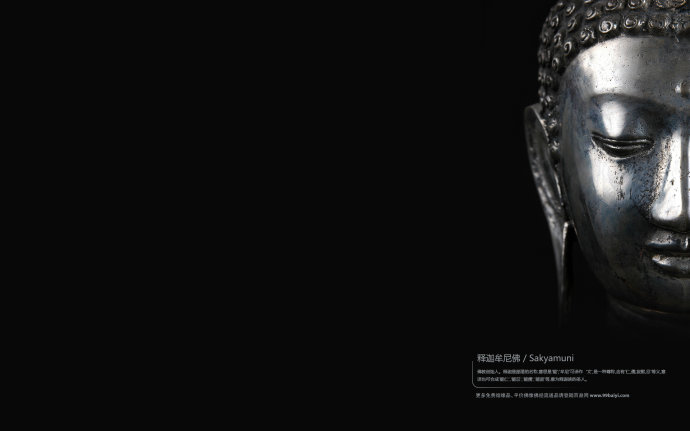 �ִ������Ӧ¼����ʮ�壩�������Σ���Ӧ����