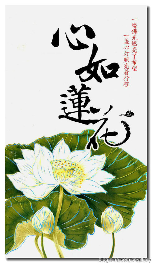 һλ�������ʦ�ĳ���֮·����ʹ���о���