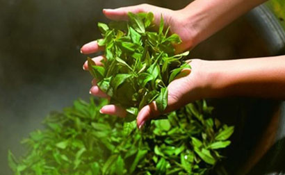 ��ҹ���8�ֱ�����;