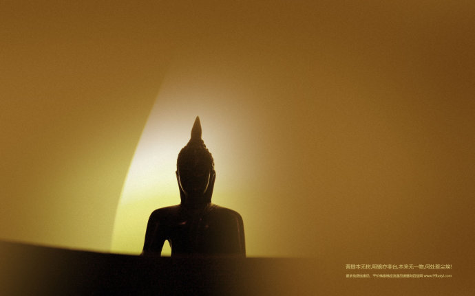 �ִ������Ӧ¼����ʮ�ߣ�һ����������������