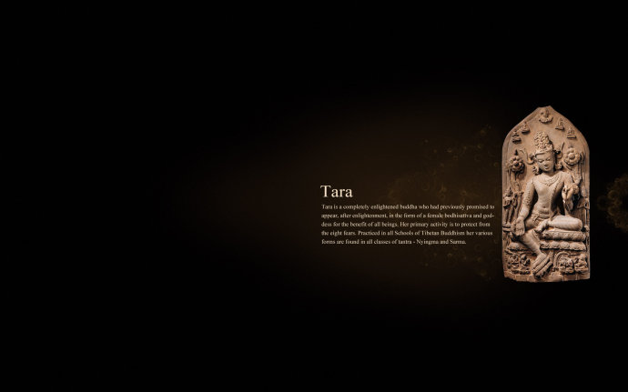 �ִ������Ӧ¼����ʮ�ģ�һλ���н�ʦ�Ĺ��������