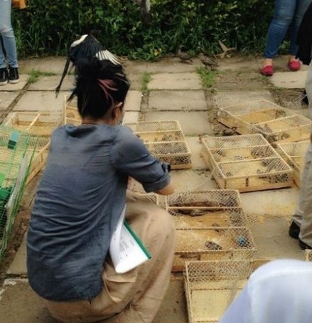 ���Ʒ��������44������ �̵����Ĵ��Ƶ����Ǵ���