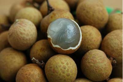 ����������ʳ,ò�����ɷ���