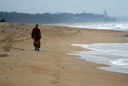 ���Ԣ�ԣ�����֮���ѡ��