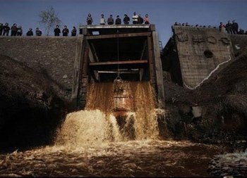 �������֢������ʲô����