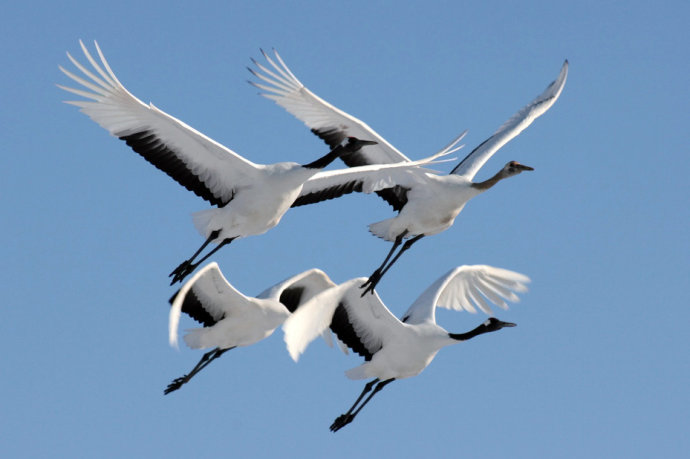 �׺ױ�����300���񣬰˰��ﶴͥ��֤12����Ե