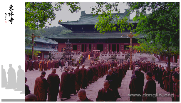 ����ߵ�����������