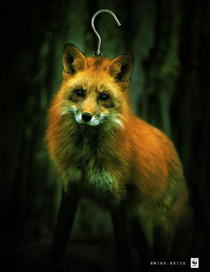 ɱ�����ǣ��������ǵ�Ƥ��