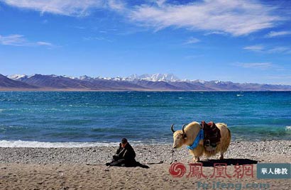 ���Ԣ�ԣ���������֮��