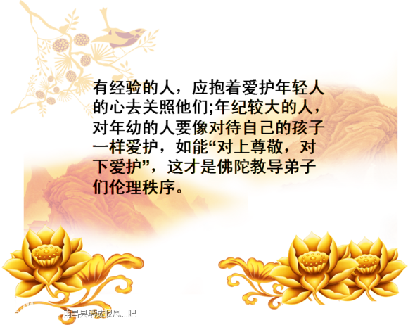 ֤�Ϸ�ʦ���������²�������