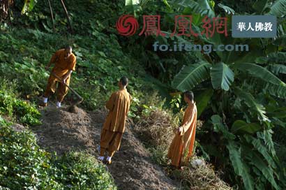 ���ķ�ʦ�������ˮ������_����������