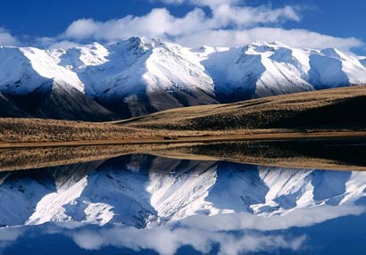 ���Ԣ�ԣ���Ů����������