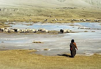 ���濰��������ʧȥ������