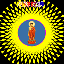 ����ץ������������������