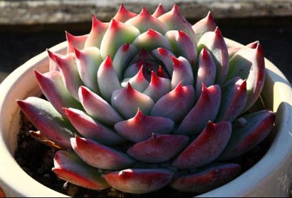 ��¹��£��о������Ŀ���ɮ