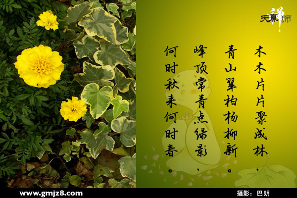 ��ʳ֮������ˣ���������Ŷ