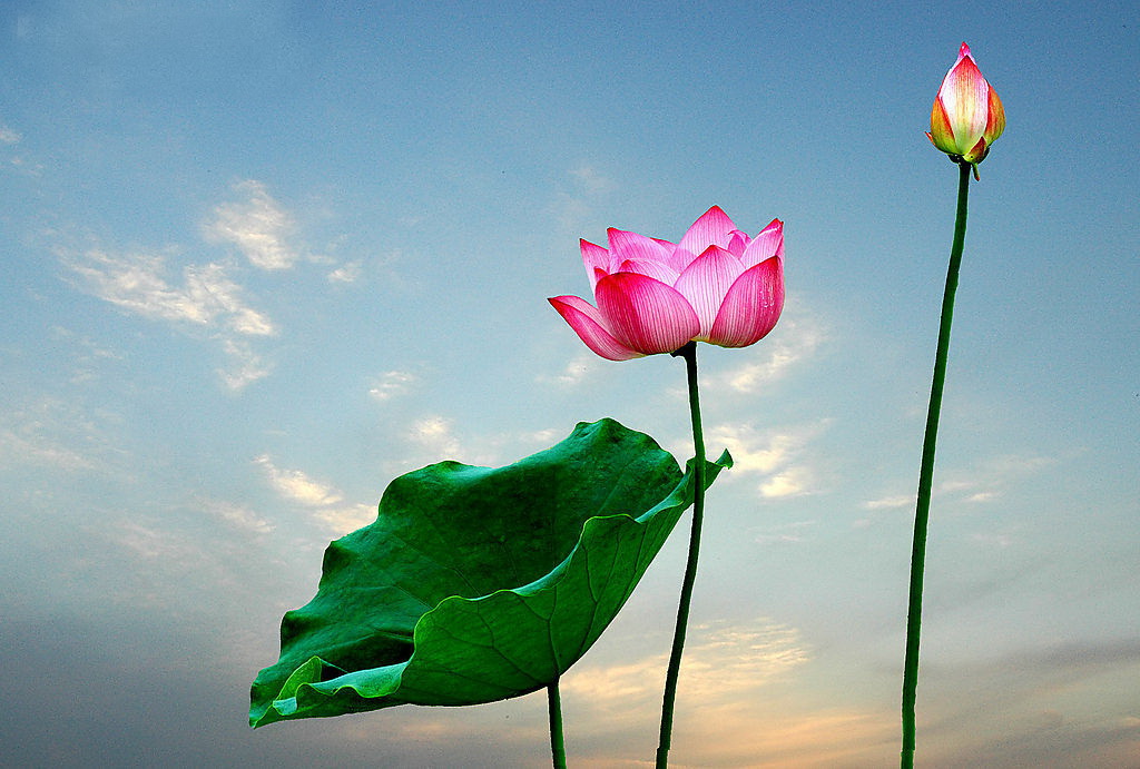 �ϻ�誣������ص����޵���һ������ͨ����