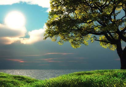 本生故事:猴王救母 本生故事:猴王救母