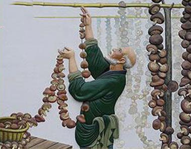 ���ڹ�������ɮɹ�㹽