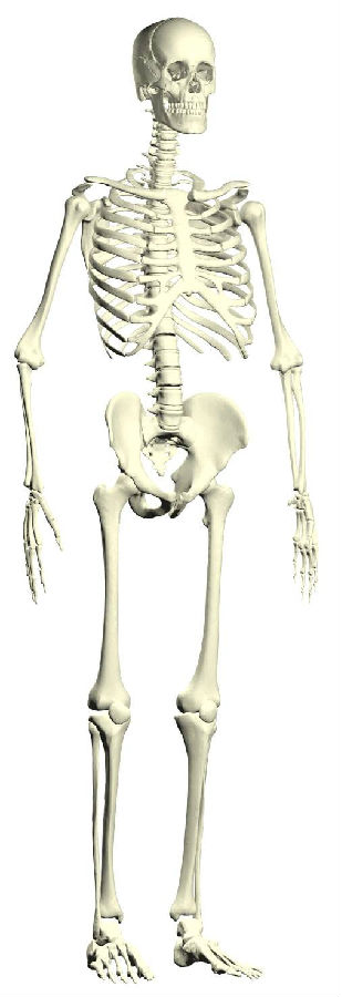 淫欲猛于虎 淫欲猛于虎