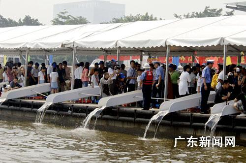 放生遇到的常见问题答问 放生遇到的常见问题答问