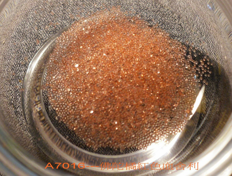 ����Ĳ�����������