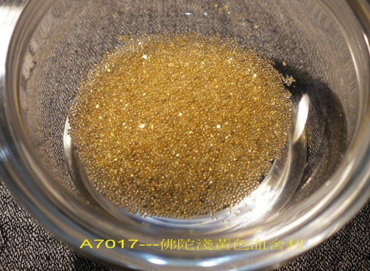 ����Ĳ�����������