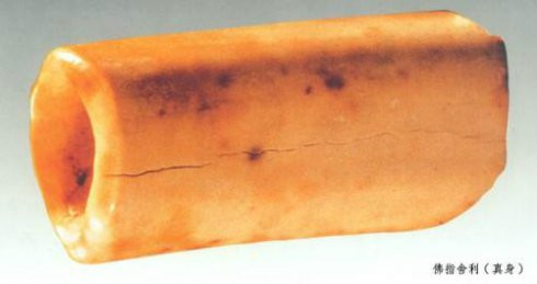 ����Ĳ�����������