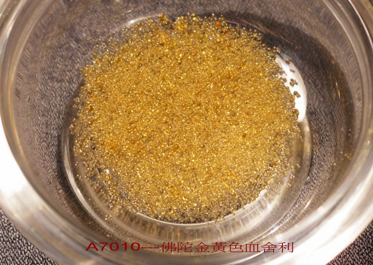 ����Ĳ�����������