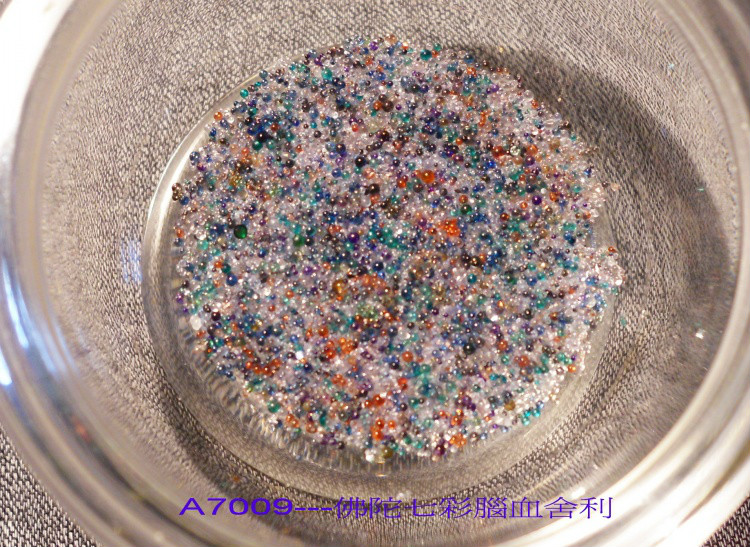 ����Ĳ�����������