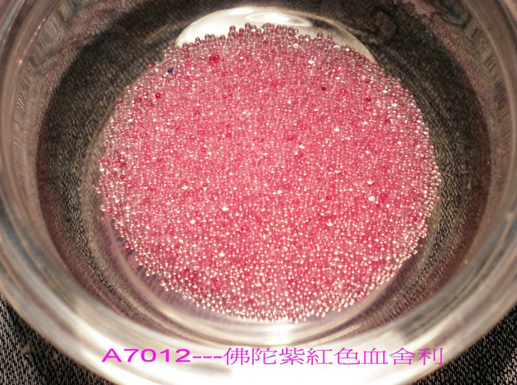 ����Ĳ�����������