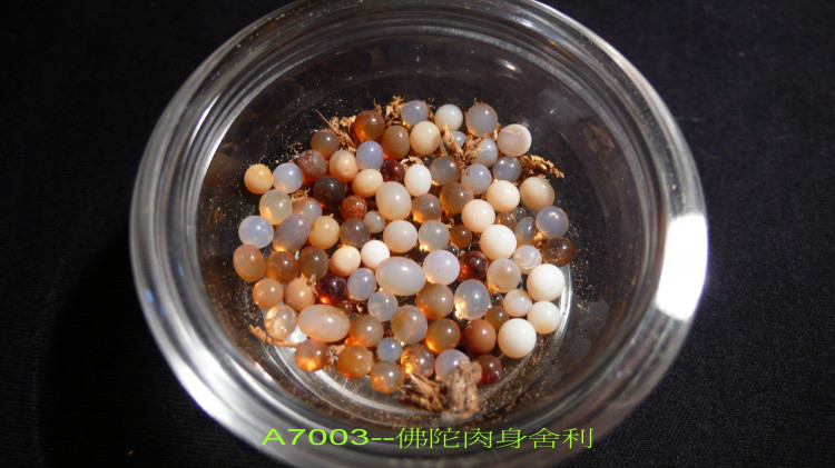 ����Ĳ�����������