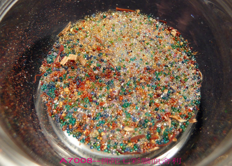 ����Ĳ�����������